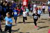 2018 Volkslauf (0020) 2018 Volkslauf (0020)