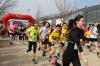 2019 Volkslauf (080) 2019 Volkslauf (080)