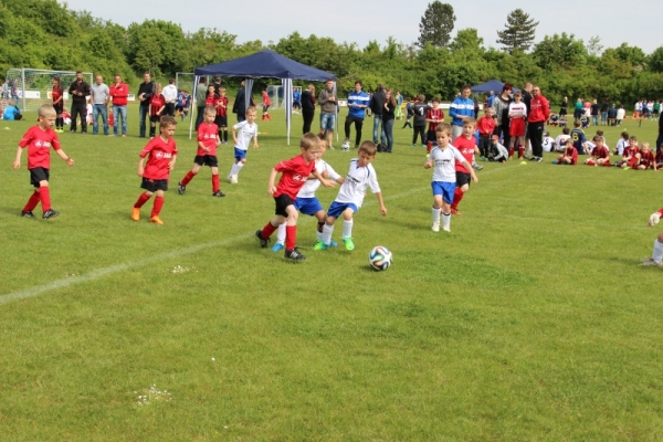 WFV F-Jugendturnier 2017 WFV F-Jugendturnier 2017