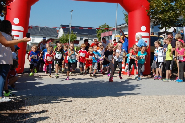 Volkslauf 2017