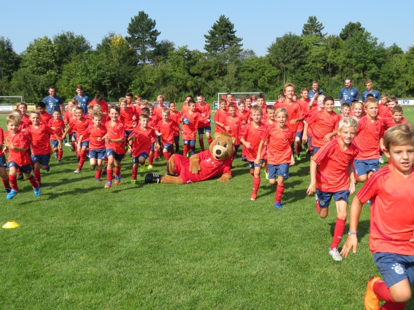 Bayer Camp 2019 Bayer Camp 2019