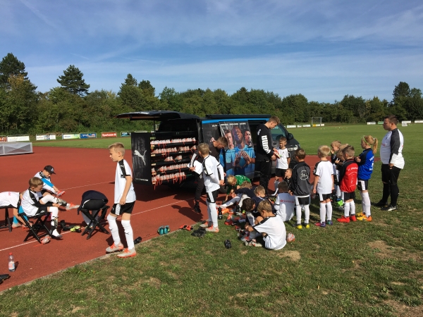 Fohlen-Camp Blaufelden 2019