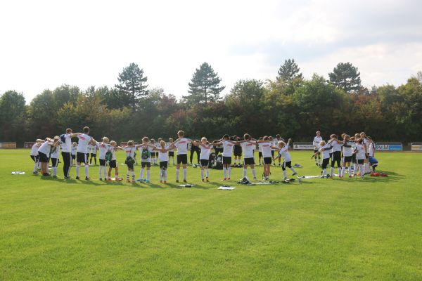 Fohlencamp 2019 Fohlencamp 2019