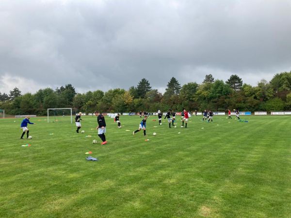Fohlencamp 2022